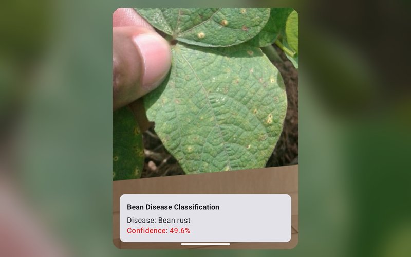 The Android app classifying a bean leaf as bean rust